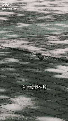 有时候
我在想
人活着还不如这只鸟
没有压力
没有烦恼……[泣不成声]