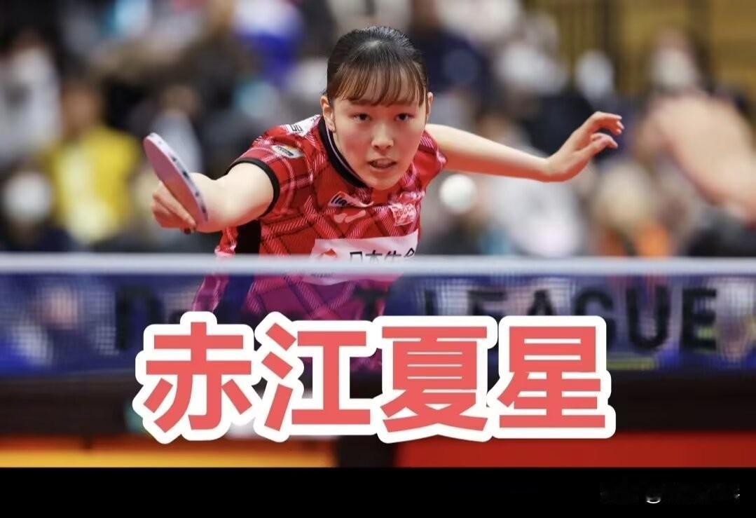 2025-2026赛季日本乒乓球T联赛
女子组：12.20
【日本生命4-0京都