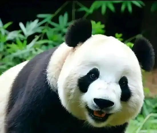 上联:柴米油盐皆是味
下联:喜怒哀乐都含情

(图片采自网络，侵则立删)
 友友