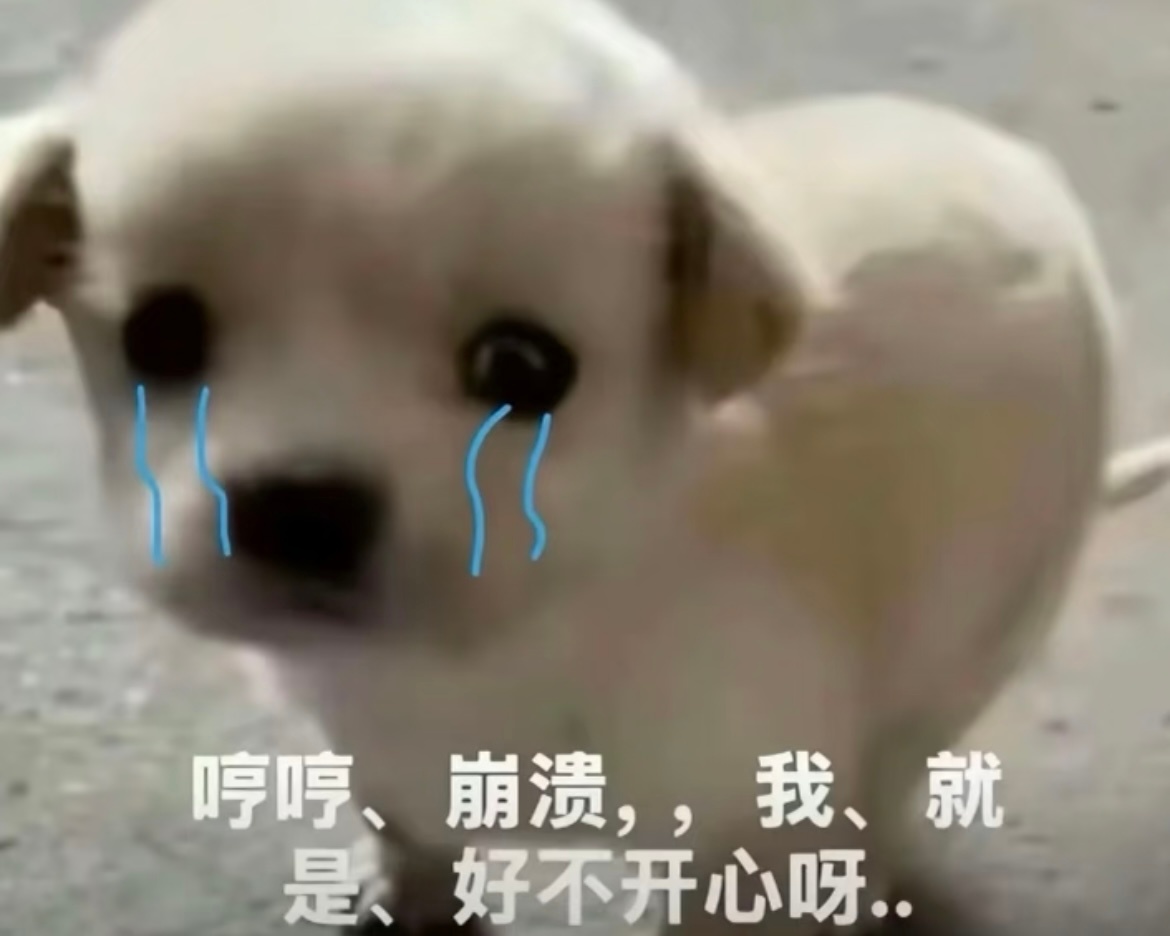 我真的想说因为属性和我互关的妈妈们来小号找我好吗 这个号粉丝列表太杂了我准备稍微