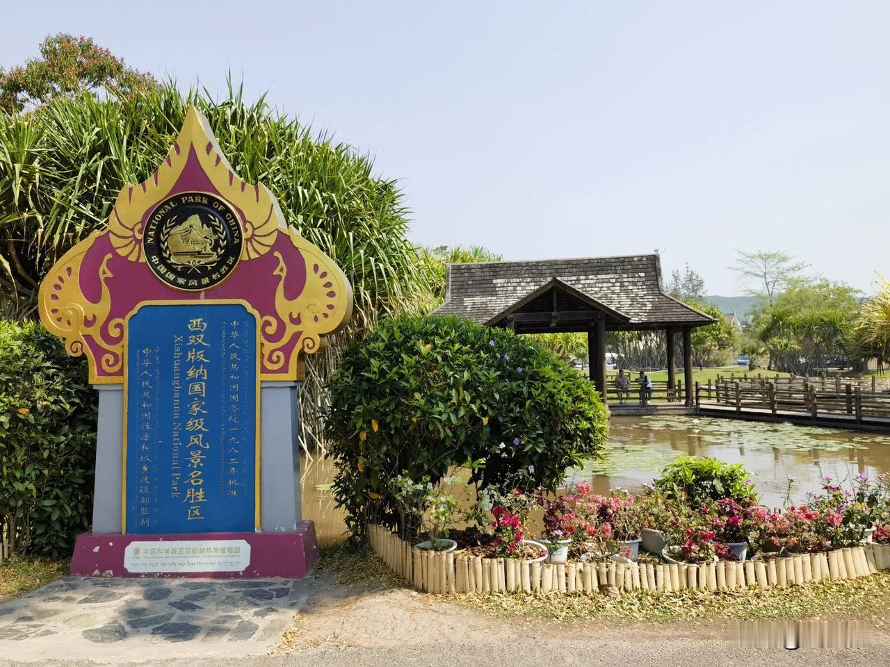 西双版纳植物园，自然植物丰富多彩，盛开的花五彩斑斓，让人目不暇接，赏心悦目！
