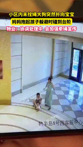 “不严惩不行！”广东广州，一女子带孩子在楼下玩时，一条没拴绳的大狗忽然扑向孩子！