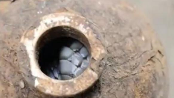 周先生在田埂发现废弃酒瓶，踢动后意外发现一条误入过冬的眼镜蛇，展现了他细心观察和