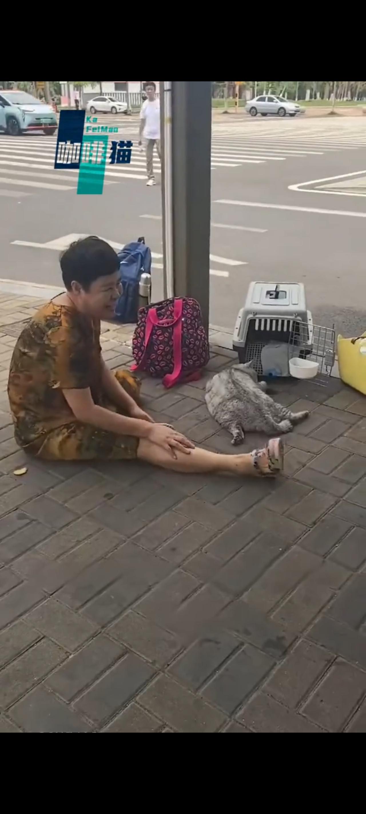看到眼前的一幕！简直太让人心痛了，无良司机由于想多拉快跑，大姐原本是包车的，结果