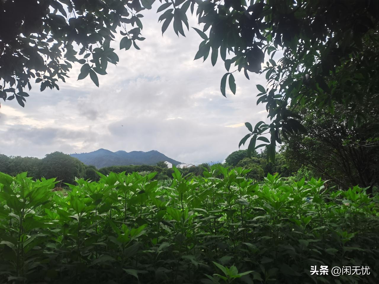 说自己好的修行人，我见过好几个。
在别人的眼睛里，也马马虎虎算是好人吧。
他们综