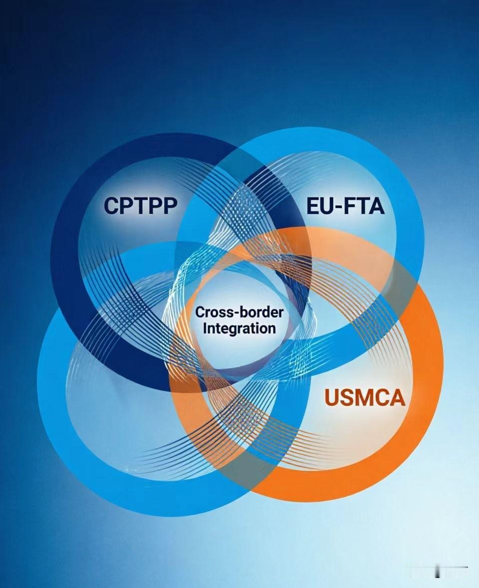 CPTPP会取代WTO吗？答案是不会。但CPTPP这套高标准贸易规则范式，会系统