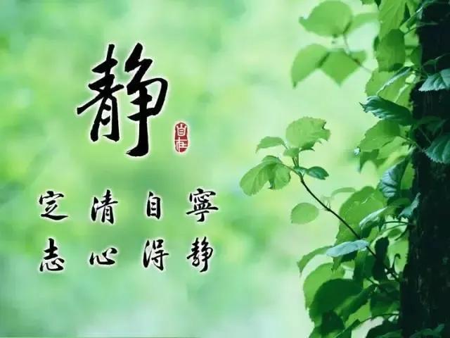 《自我滋养的力量与意义》
 
在当今纷繁复杂的人际关系网络中，“爱满自溢”这一理