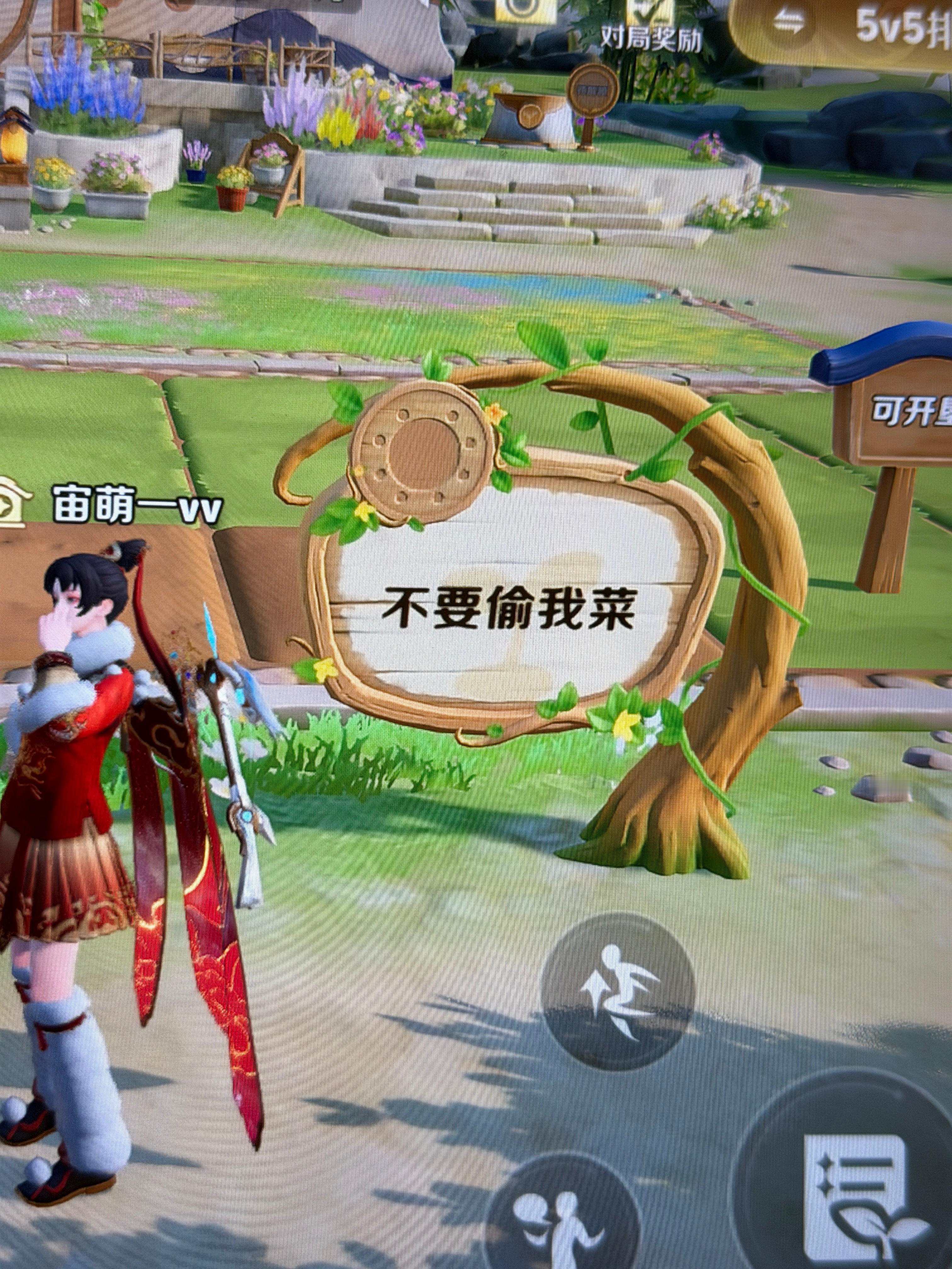 猪队友害我巅峰11连胜断了 好崩溃啊 除了中辅全是猪 ​​​
