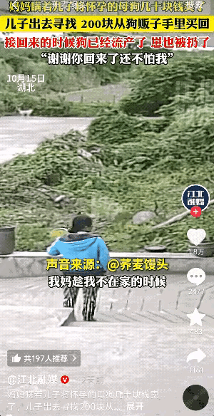 湖北，一妈妈瞒着儿子卖掉了家里怀孕快生的母狗。儿子知道后，花了42小时找到狗贩子