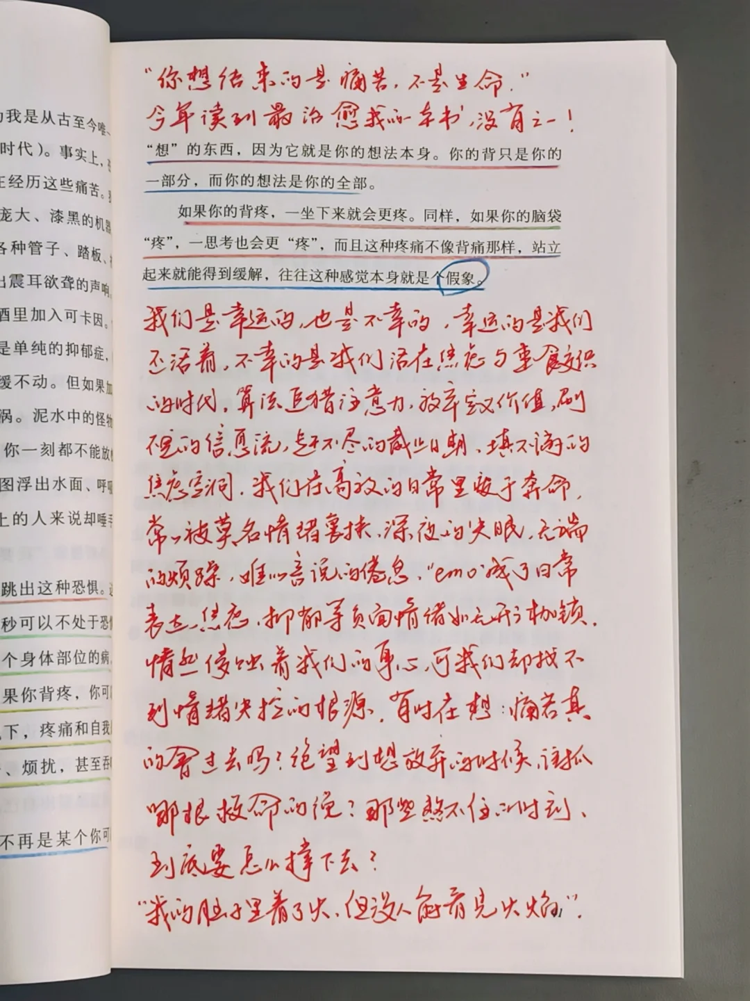 这是我今年读过最好的治愈书！没有之一！