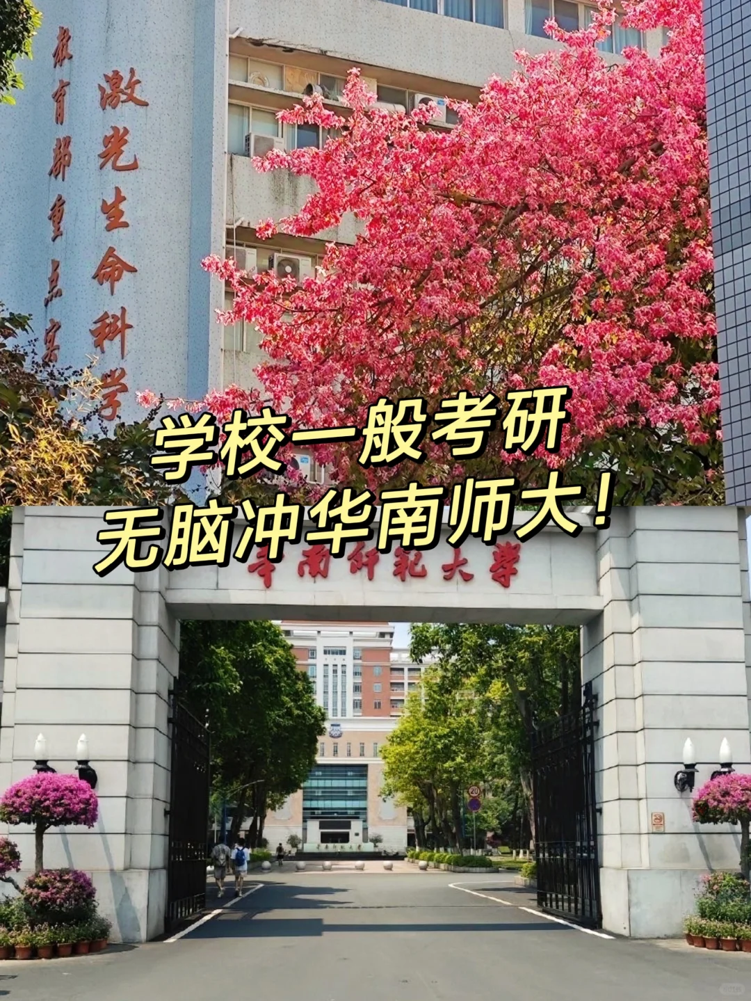 学校一般考研无脑冲华南师范大学❗