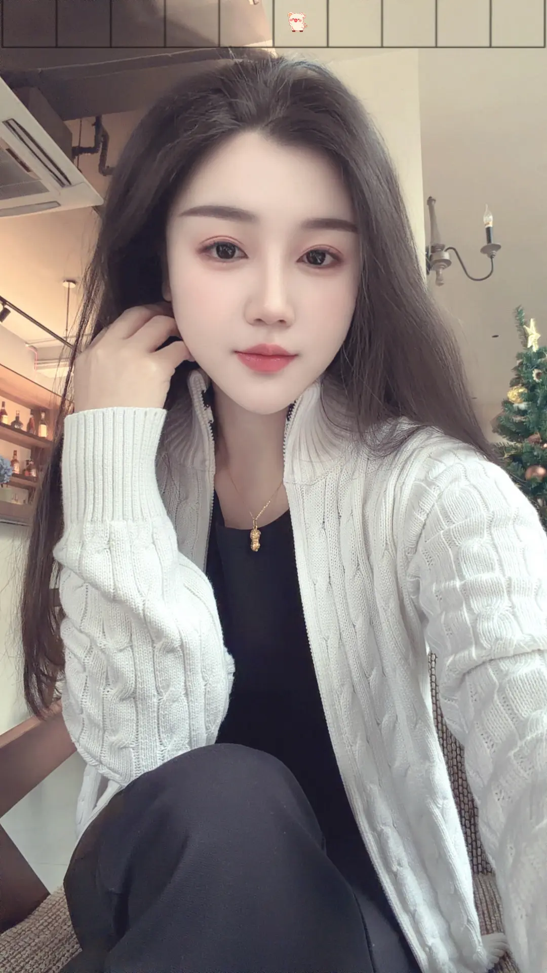 春风得意马蹄疾，一日看尽长安花。