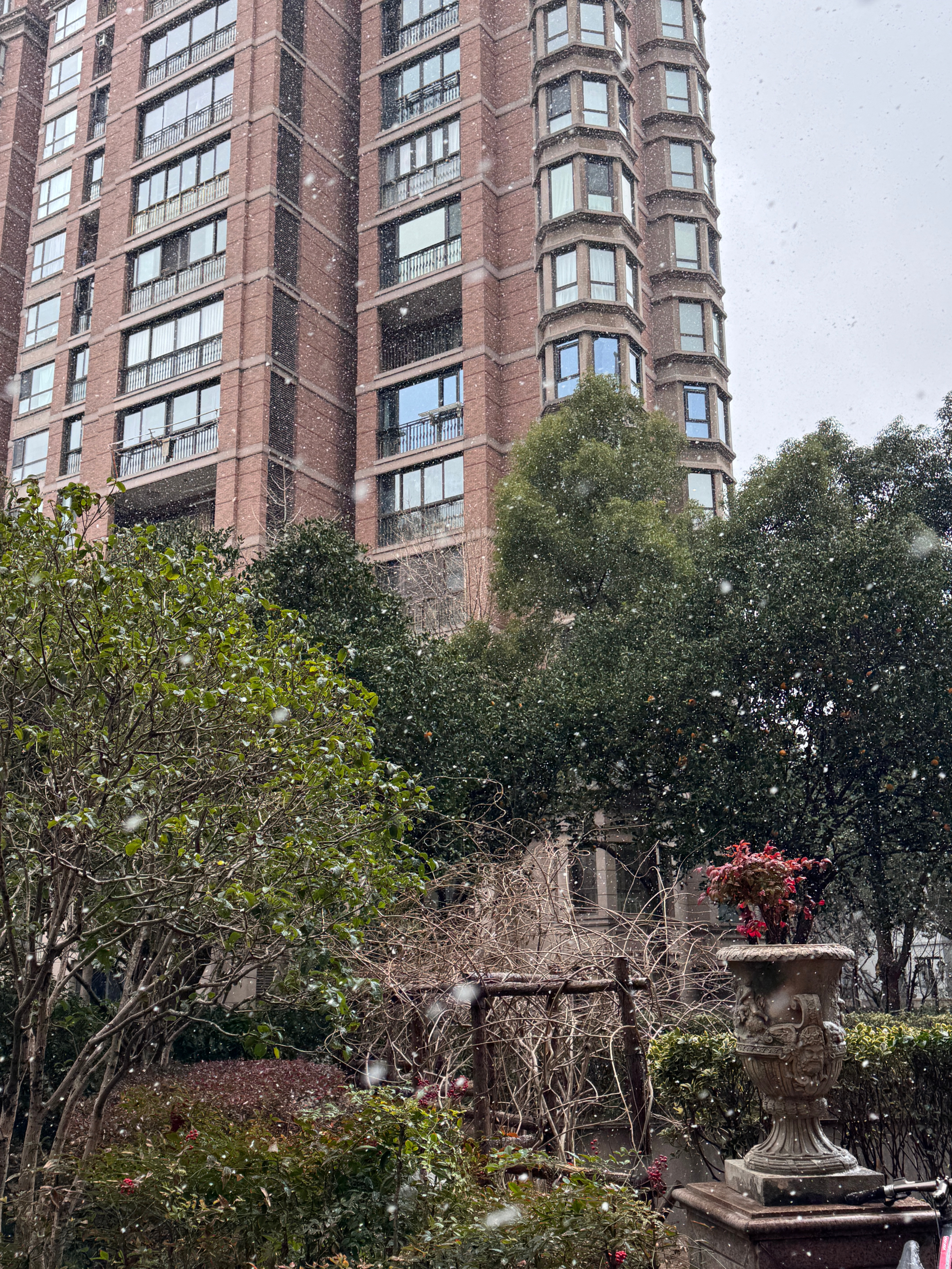 上海初雪❄️上海下雪啦