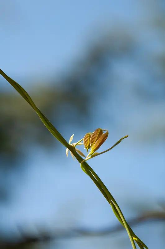 一个人、团体或国家在面对人、社会和自然所带来的问题时，凭借见识、经验和规则去化解