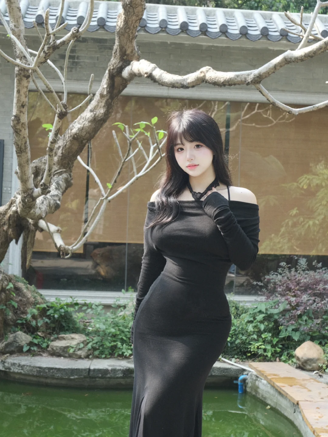 梨形天菜