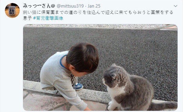 去幼儿园的小朋友给地上的猫指路，告诉猫他会去幼儿园接他后来猫真的去接他了 ​​​