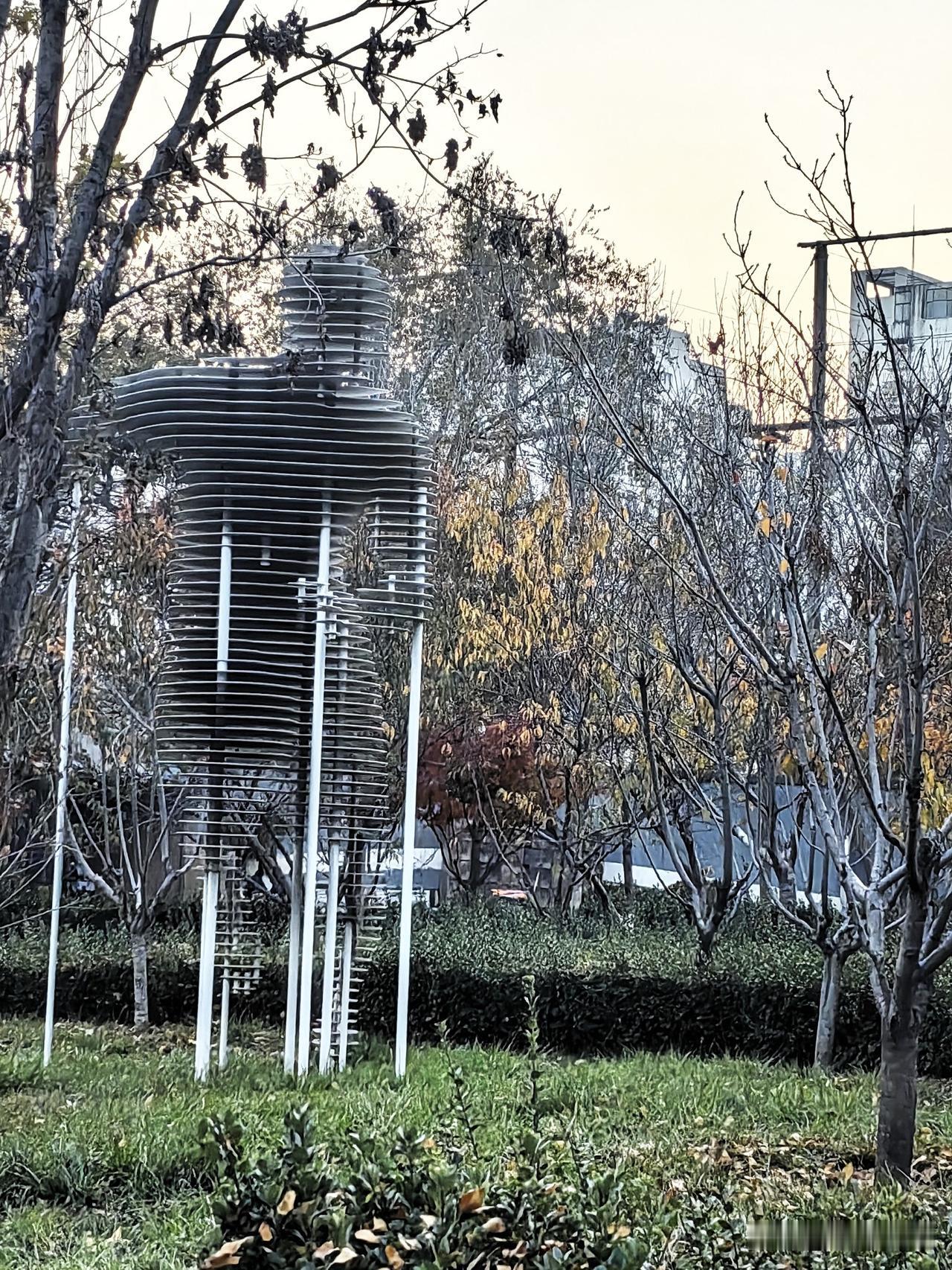 昨天石家庄的天气就开始降温了，还有风。天气晴，太阳光还真不错，小宝说想去公园荡秋