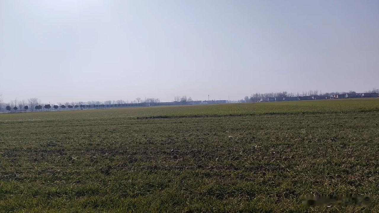 人的一生遇到了中意的人，会发现自己的心就会沉淀下来，我们总是想着别人爱自己，其实