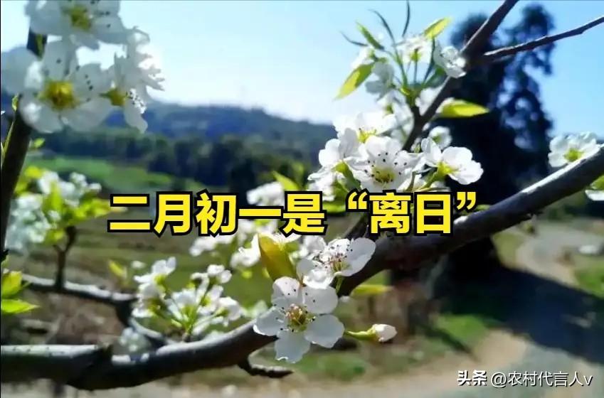 今天二月初一是“离日”，提醒大家：1不碰，2不动，3不出，4不结。
 
时间过得