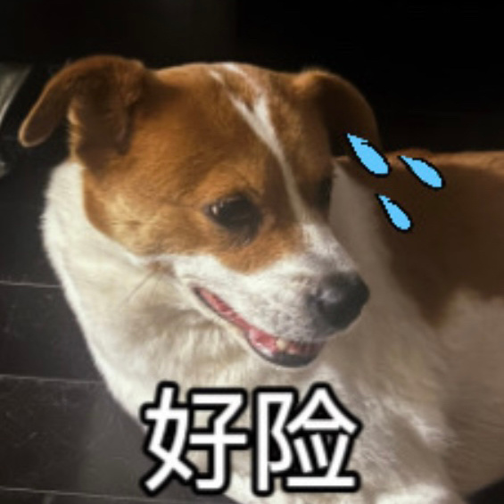 还好睡到现在才醒[doge] 