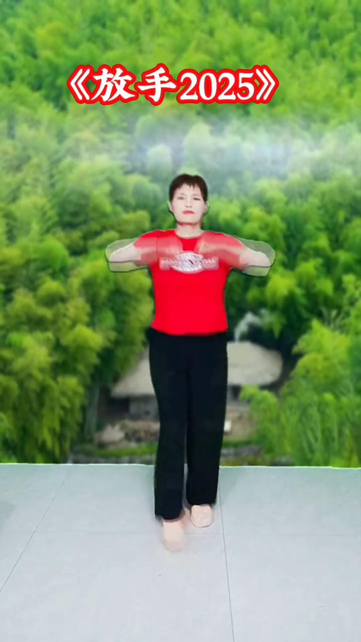 《放手2025》。
