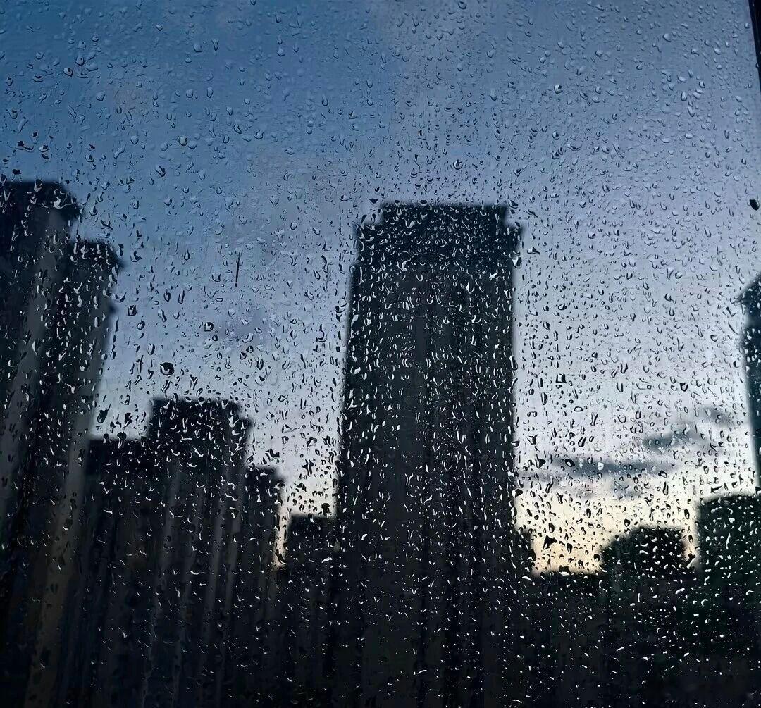 “心碎不是轰然倒塌，而是每天裂开一点，无声无息。”我到底有多少东西日常治愈生活碎