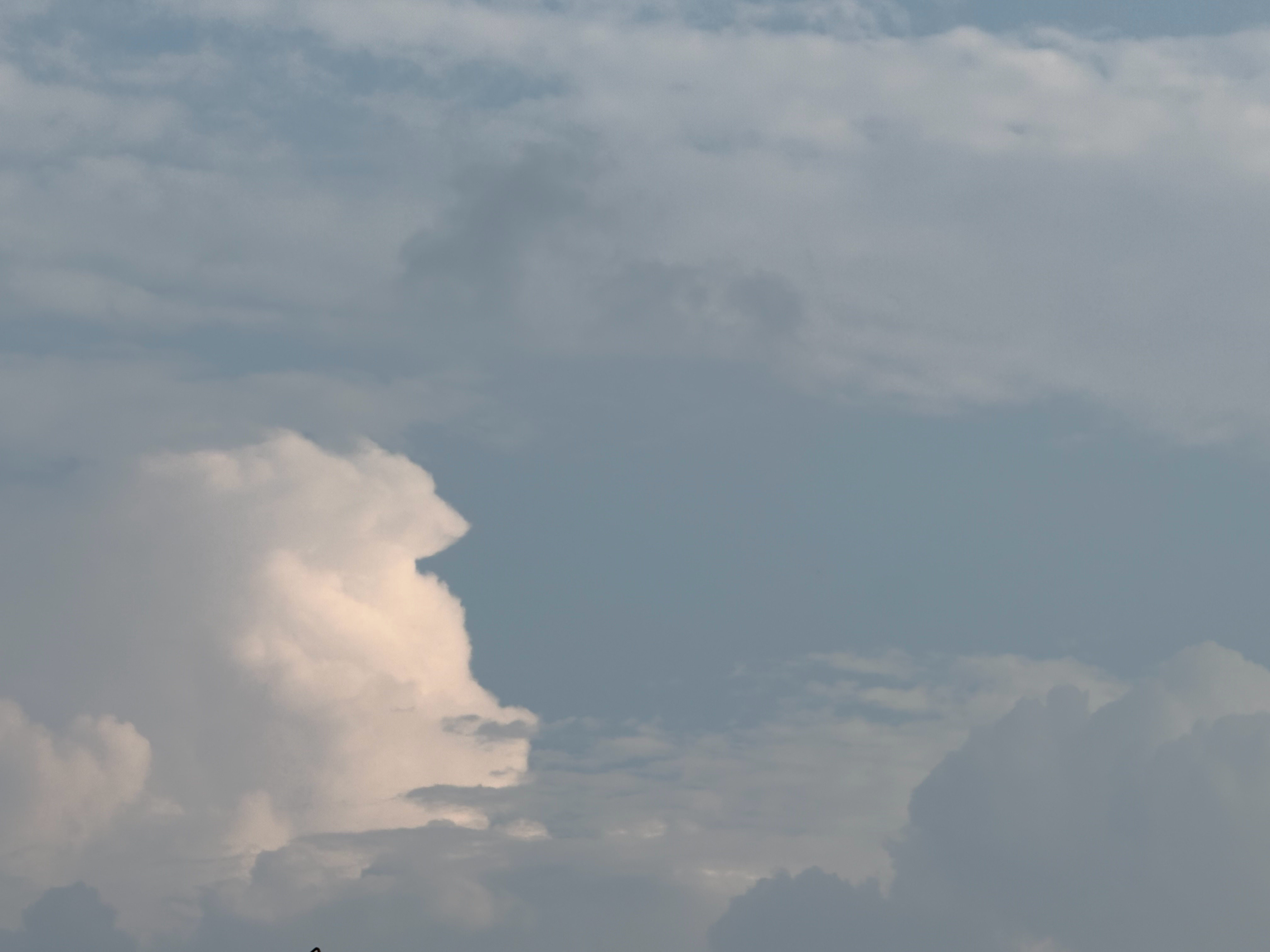 ☁️ ​​​