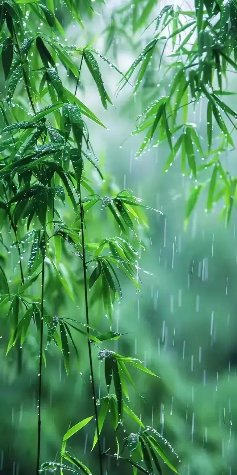 上联：风霜雨雪四时景
下联：春夏秋冬一年情