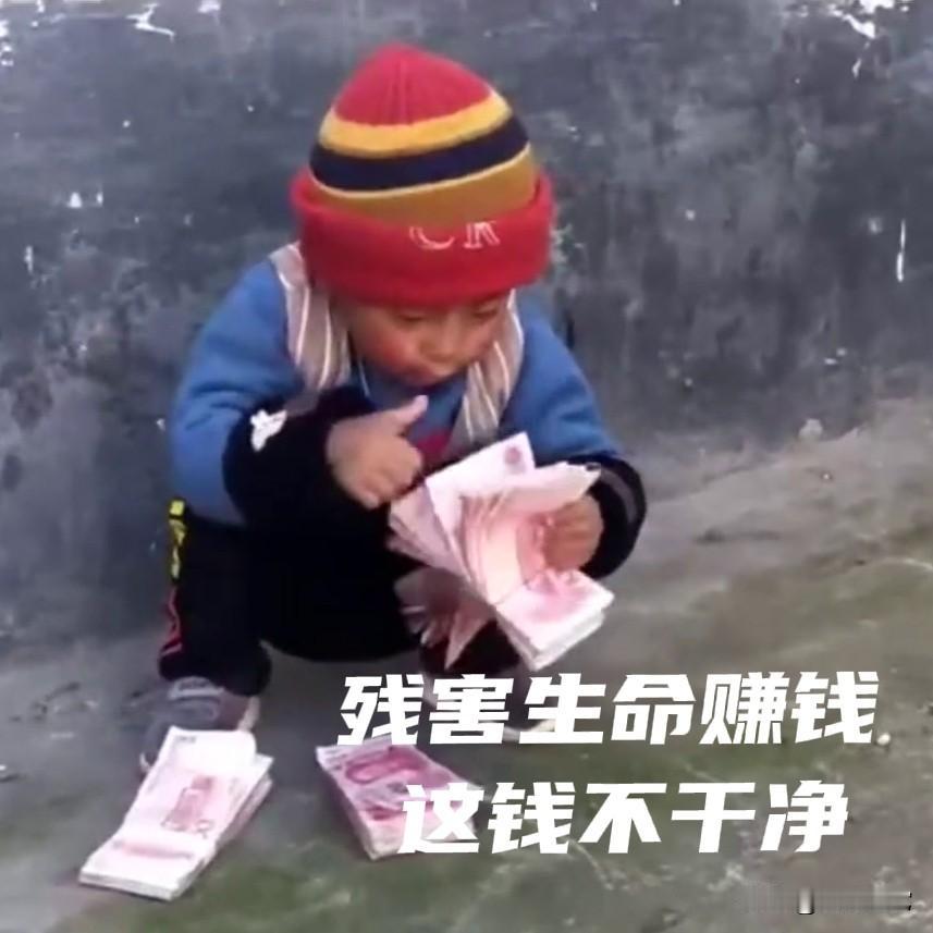 那些恨猫狗份子，天天为了点流量，大喊大叫，找各种理由和借口杀猫虐狗，这和那些以杀
