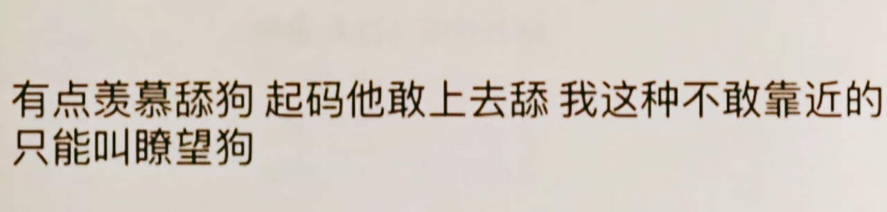 新词作 瞭望🐶 