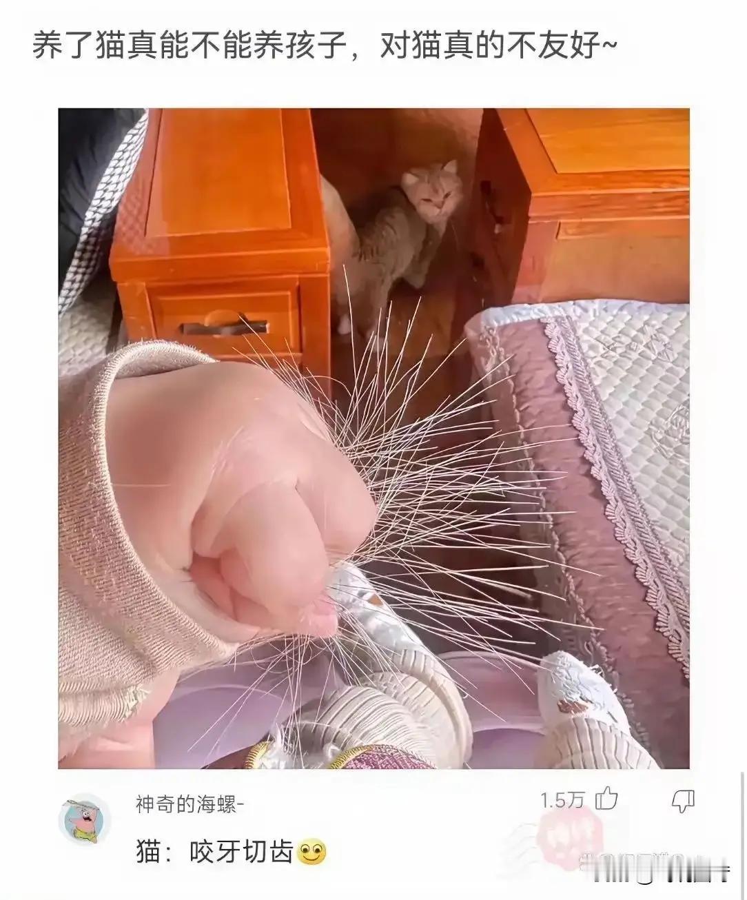 你快点把孩子送人，要不然你的猫死定了[奸笑]