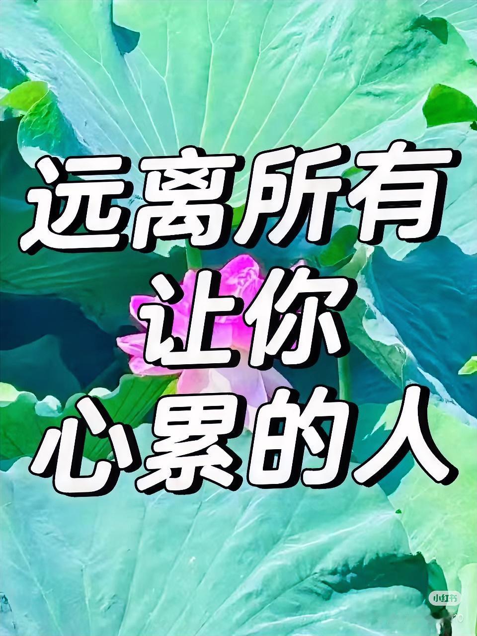 你必须相信，只有你能造成自己的成功，也只有你能造成你的平庸，只有你能造成自己为钱