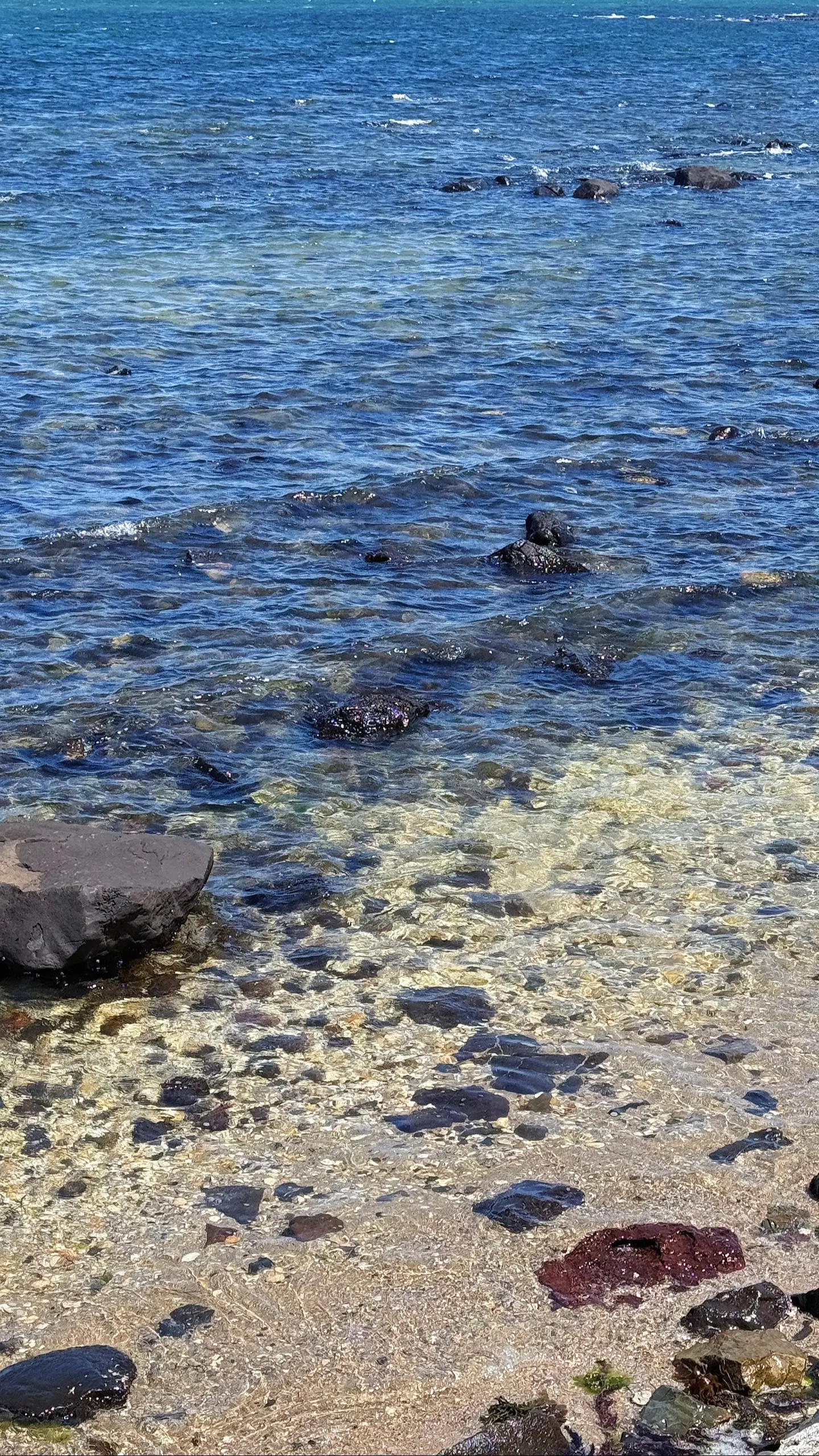 🐘💭快乐出游 🦜。Plog来袭🦦（最后附4张风景照16:9） ...