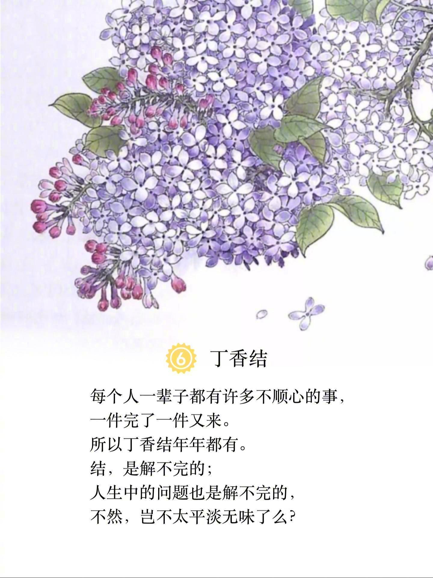 小时候的语文课本是长大后的人生 