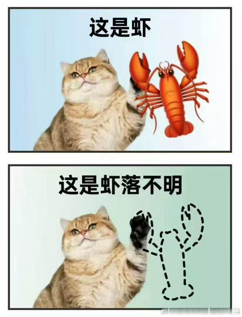 不管不管！我推了饭局想蹲一个张海虾的！丁禹兮你必须赔我一个亲签 