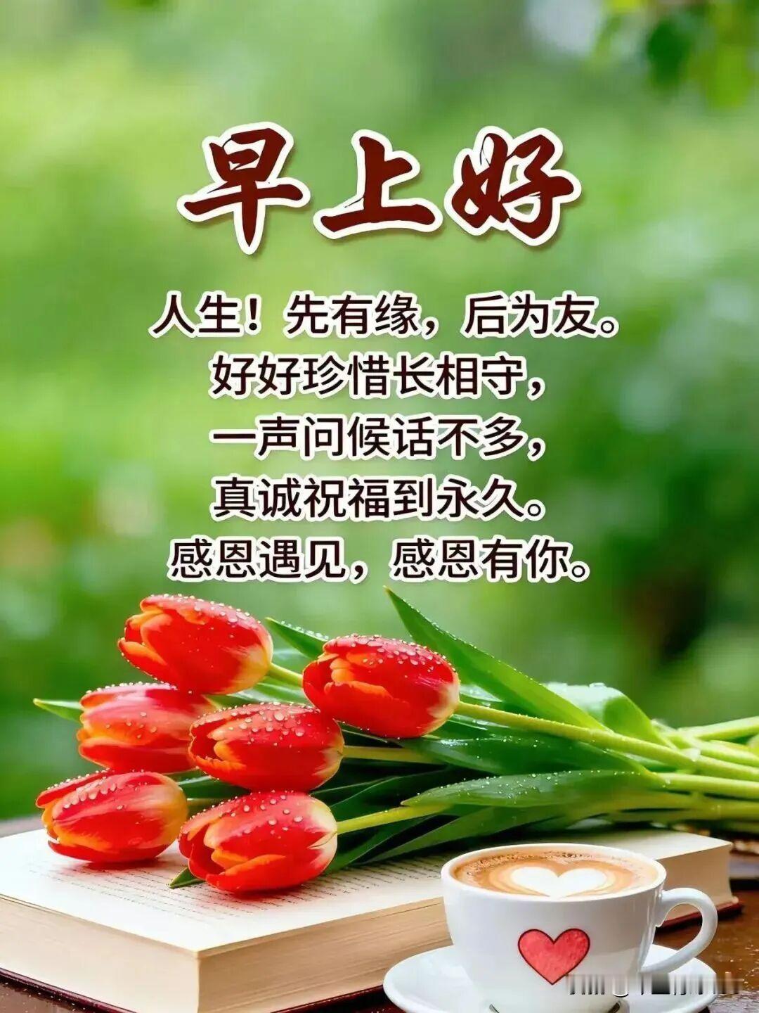 每一个清晨，都是生活赠予的温柔礼物，拆开即是无限可能；每一段时光，都是生命独有的