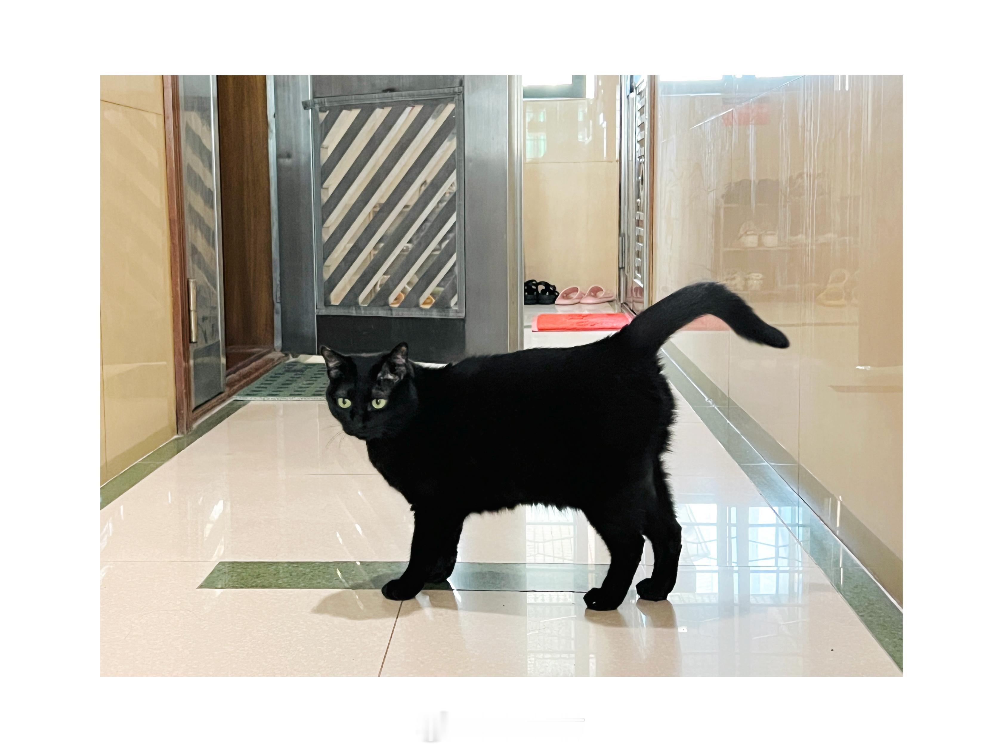 蝦比：呿！#蝦蝦不可以太可愛# ​​​