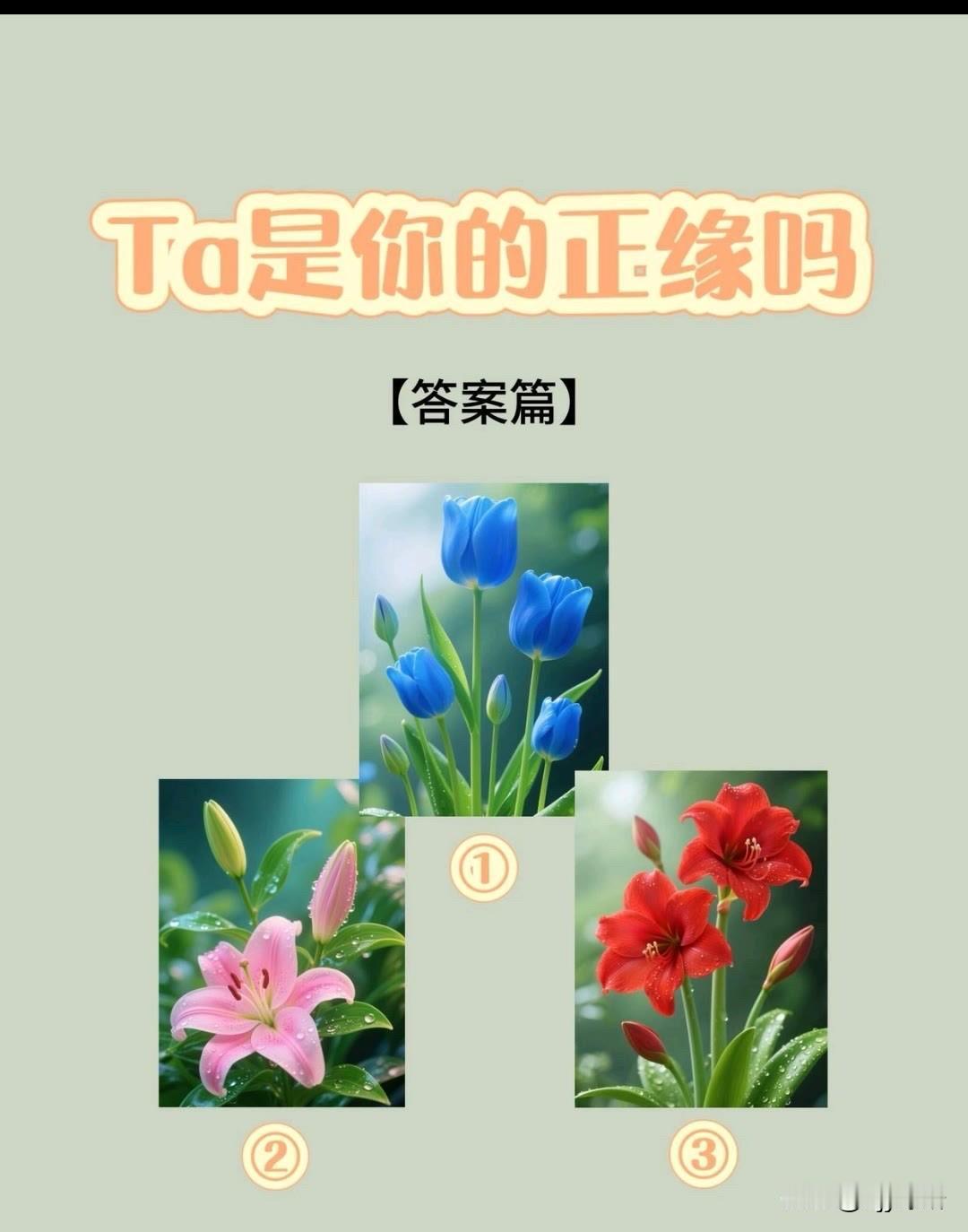 [答案篇]