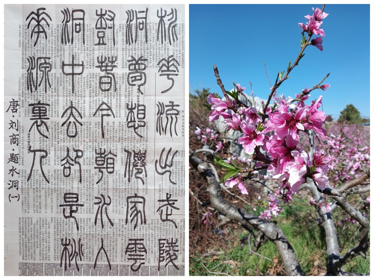 书法练习打卡，篆书唐朝刘商诗，“题水洞(一)”。诗曰：桃花流出武陵洞，梦想仙家云