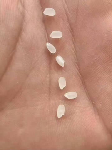 7粒米玄学，看见了不要无视，接好运 ​​​