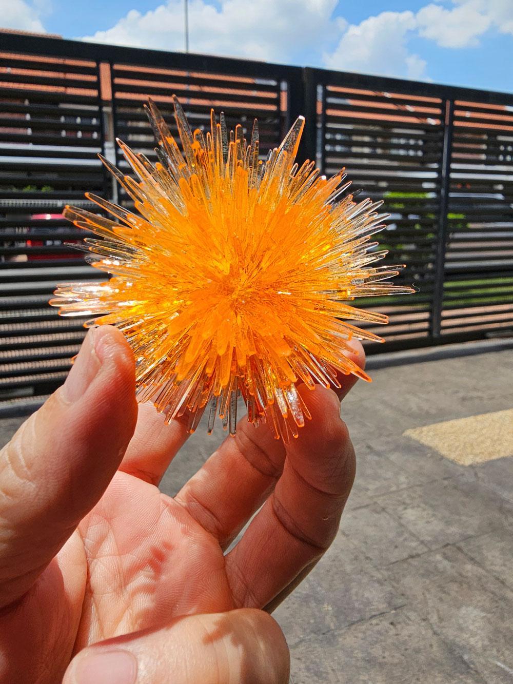 这是一簇从磷酸一铵肥料中培育出的尖刺状晶体，由某网友通过结晶实验制成。晶体外观类