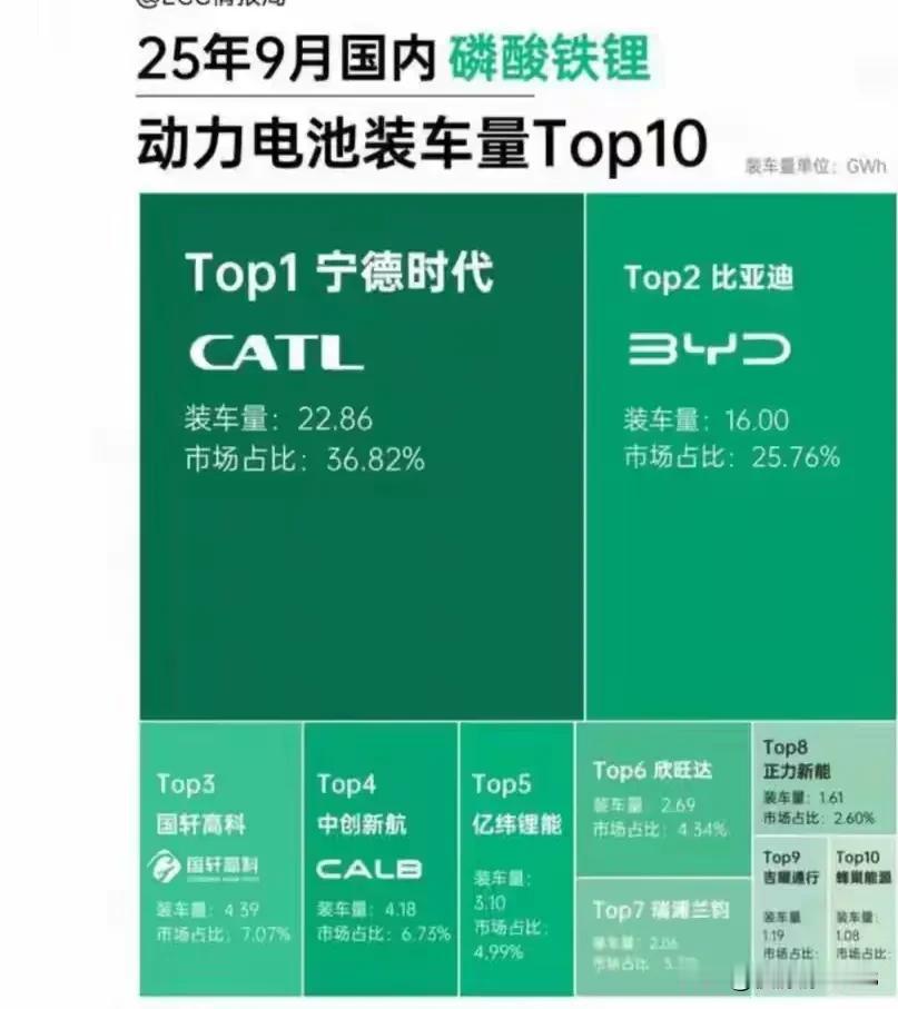 两家公司，
电池份额占据了大半江山
宁德时代，比亚迪好样的，
电动车，老外干不过