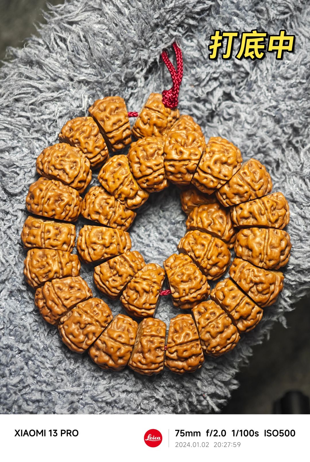 NO.360 不服家老树王大肠