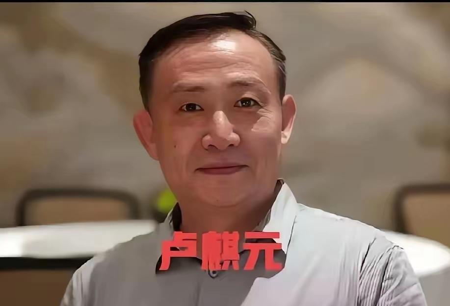 卢麒元在中批评“十五五”规划中隐含的华盛顿共识。他认为，某些人试图把水、电、通信