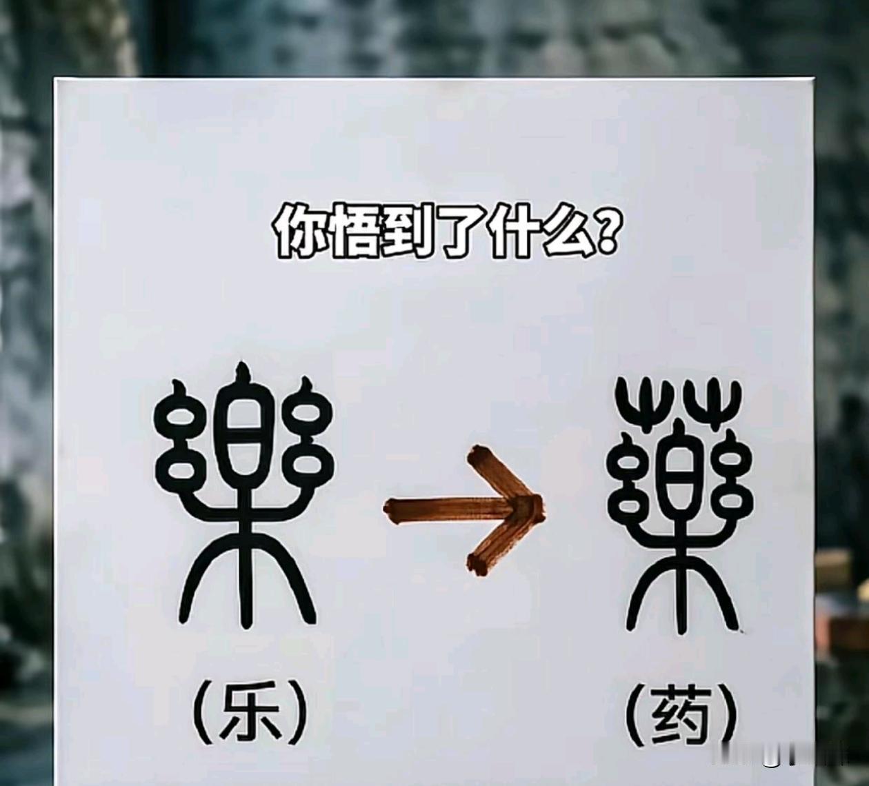 乐跟药咋能长得差不多呢