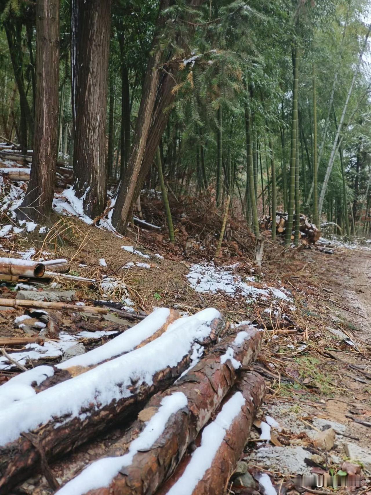 2026年湖北立春养生建议
“春打六九头，吃饭不发愁。”2026年的立春，携着一