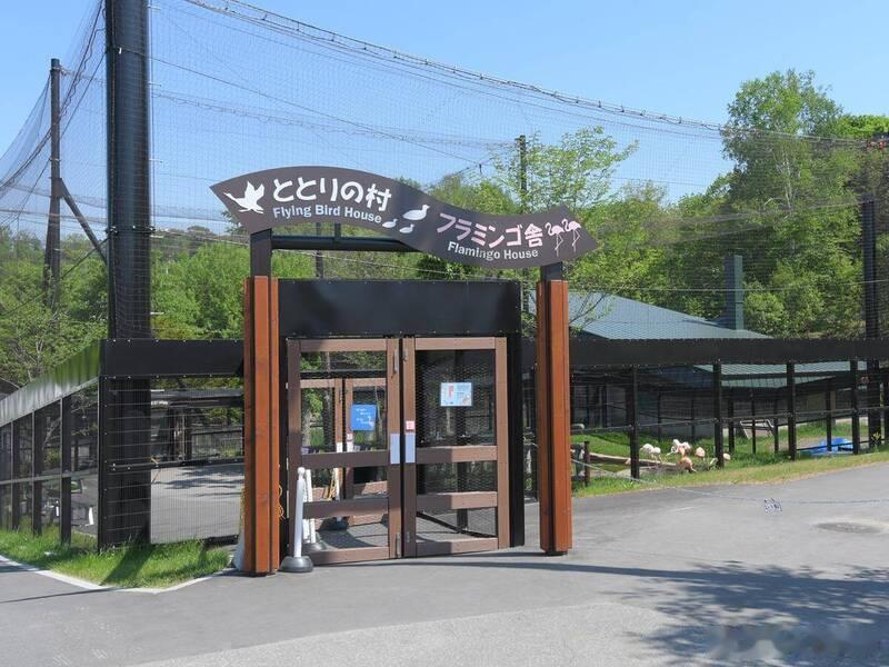 惊悚！日本旭山动物园员工涉嫌杀妻焚尸 次日照常上班海外新鲜事 日本北海道知名景点