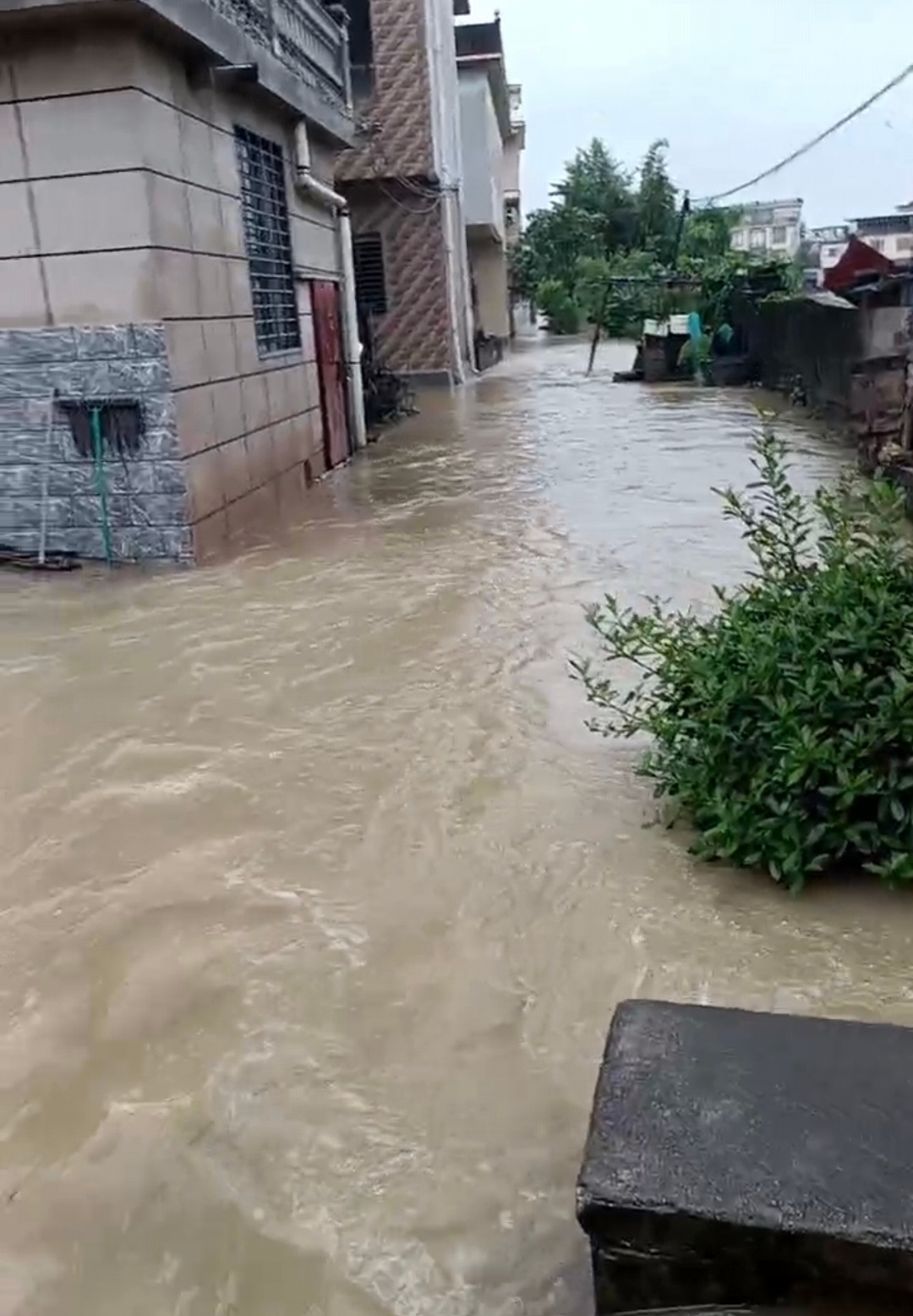 深圳机场 sorry深圳最近是暴雨连连，下得太大了。老家也是，这几天龙舟水下个不