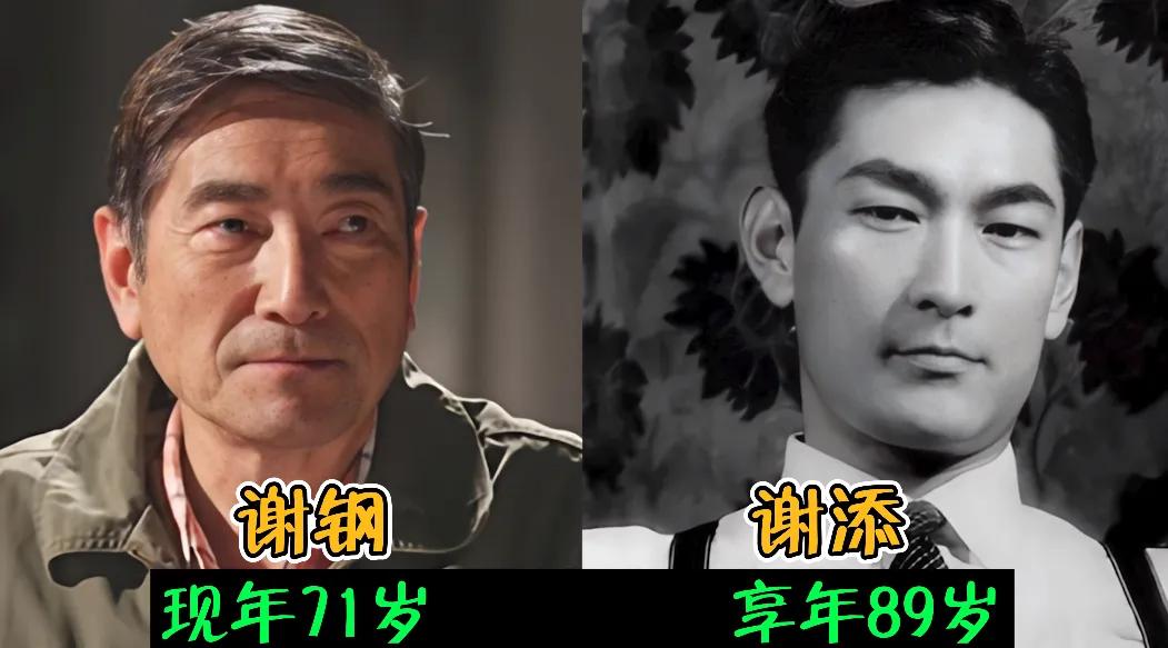 娱乐圈中明星父子
谢钢和谢添观众们一看谢钢，老觉得他和个叫谢添的长得挺像，实际上