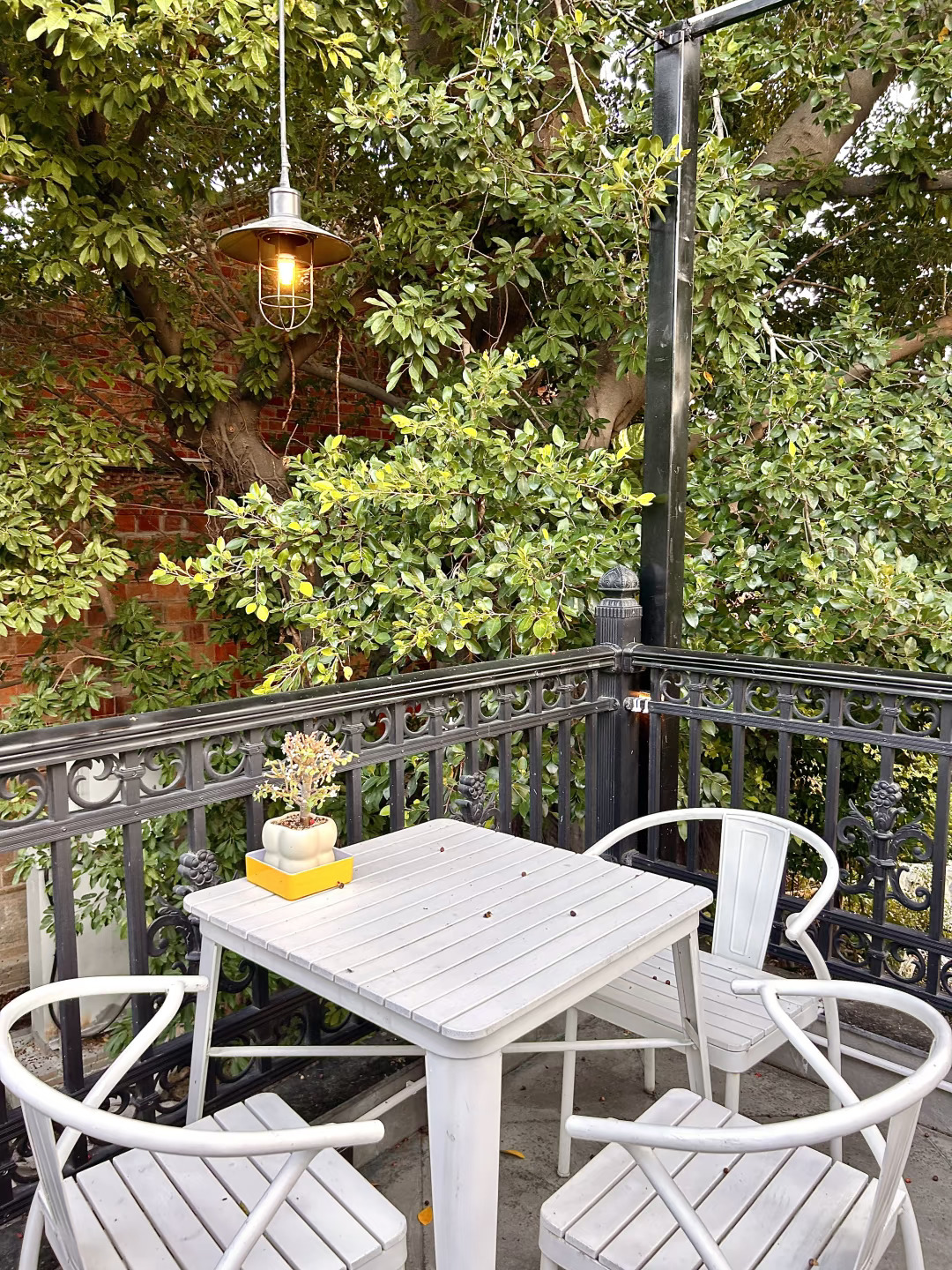 泉州新开的小众打卡地……置身于大自然🍃